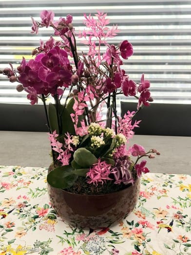 Jolies Fleurs pour Isabelle Klaedtke,Schöne Blumen für Isabelle Klaedtke